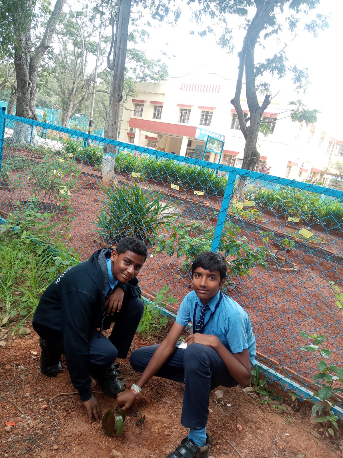 Plantation